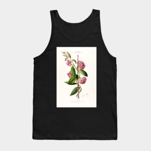 Hoya carnosa - botanical illustration Tank Top